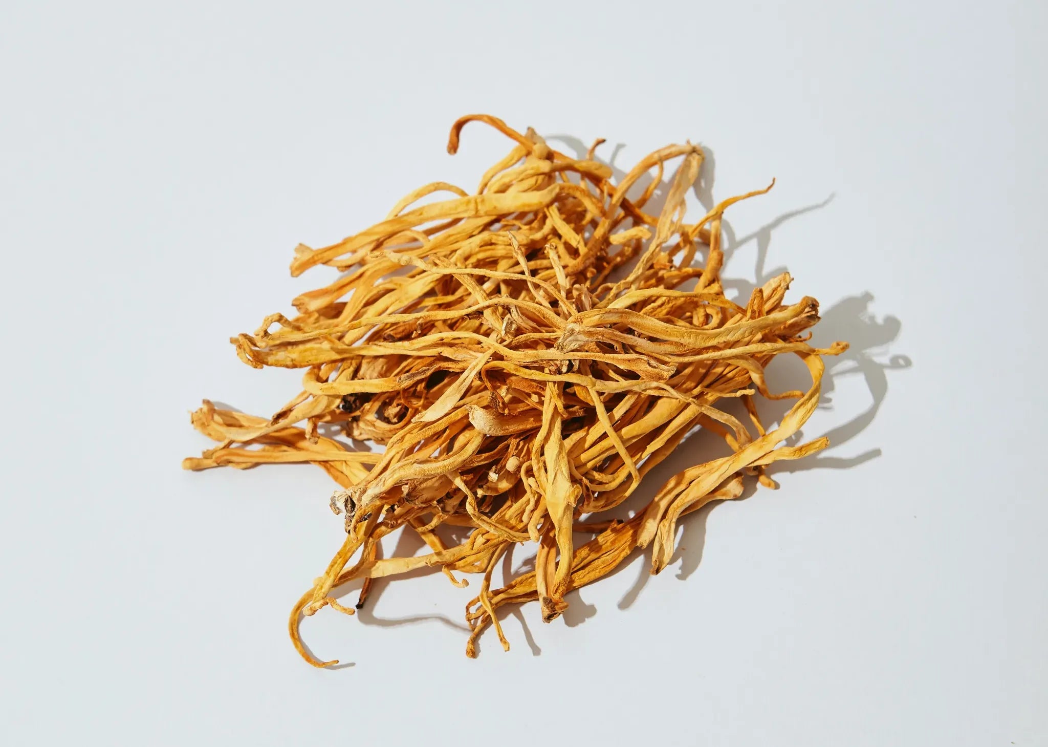 Boost Your Reproductive Health With Cordyceps Sinensis mi maiv