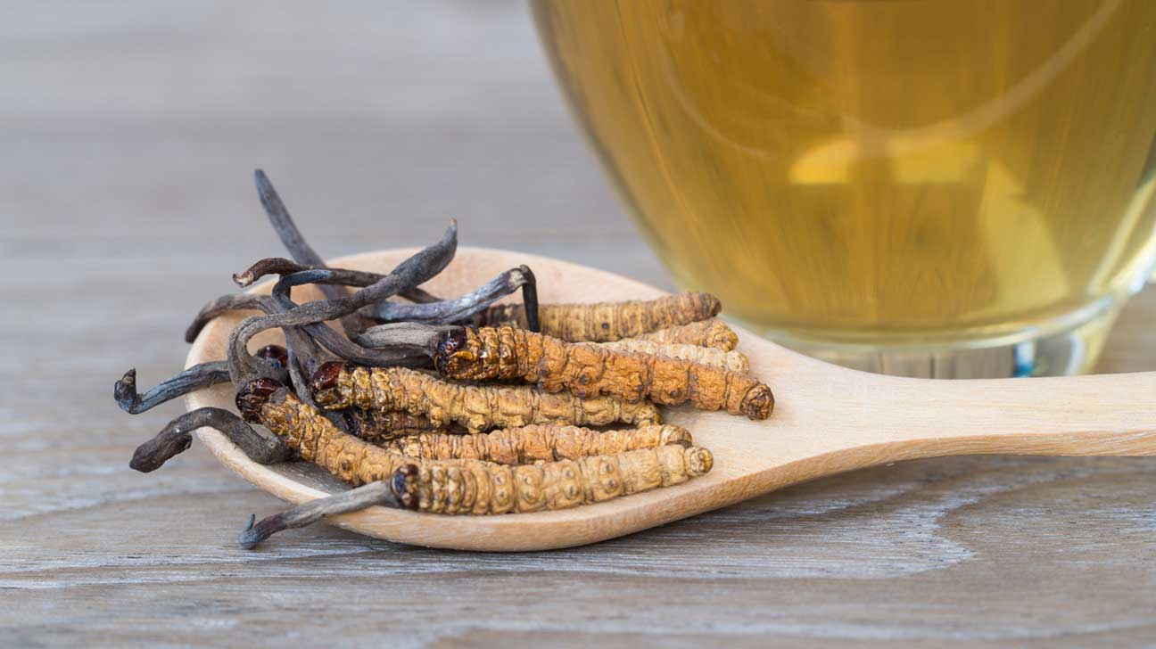 Cordyceps: The Himalayan Viagra for Vitality